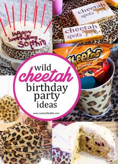 wild cheetah birthday party ideas including cake, cupcakes and candies