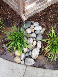 some rocks and plants in front of a brick building