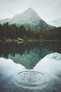 a large body of water surrounded by trees and mountains in the distance with a circular object floating on it's surface