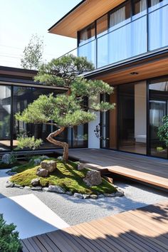 a bonsai tree sits in the middle of a small garden with rocks and grass