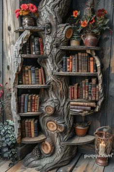 a book shelf made out of an old tree stump