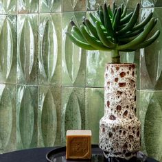 a green plant in a vase next to a bar of soap on a black table