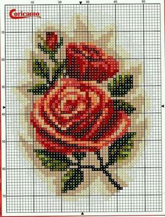 a cross stitch pattern with a red rose on it