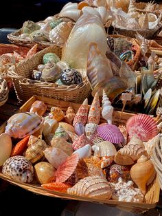 several baskets filled with different types of seashells