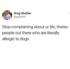 a tweet that reads stop comparing about life, theres people out there who are literally allergic to dogs