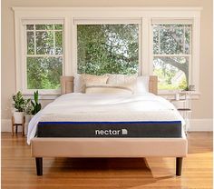 the nectar mattress is placed in front of two windows with plants on either side of it