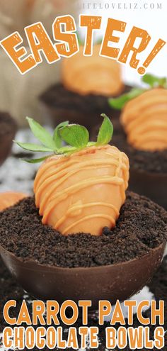 carrot patch chocolate bowls with text overlay