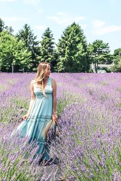 a woman in a blue dress walking through a lavender field