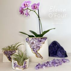 purple flowers in white vases with rocks and air plants