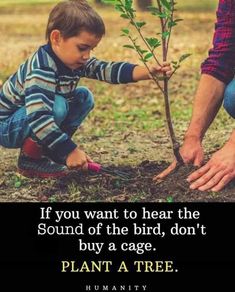 a young boy is touching a tree with his hands and the words, if you want to hear the sound of the bird, don't buy a cage plant a tree