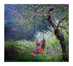 a woman sitting on a swing in the middle of a tree filled with pink flowers