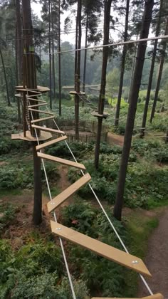 a wooden staircase in the middle of a forest