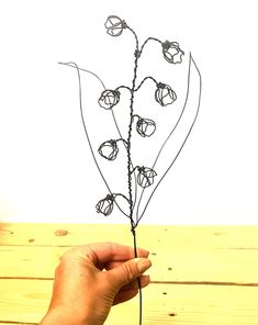 a hand is holding a wire plant with flowers on it and the stems are black