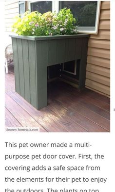 a dog house with plants growing out of it