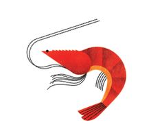 a drawing of a red fish with long legs and tail, on a white background