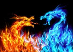 two blue and orange fire breathing birds on a black background with stars in the sky