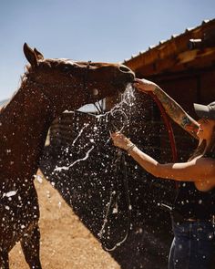 a woman is washing her horse with water