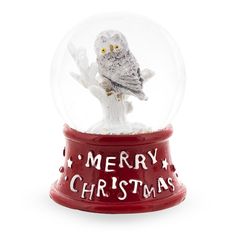 a snow globe with an owl in it and merry christmas written on the front inside