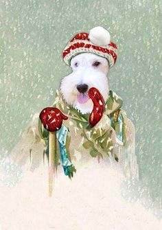 a white dog wearing a red and white hat with two bells on it's head