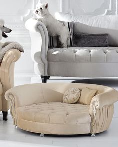 two dogs sitting on top of couches in a living room with white walls and flooring