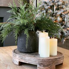 three candles sitting on top of a wooden table next to a potted pine tree