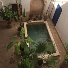 an indoor swimming pool surrounded by plants and potted trees in the middle of a courtyard