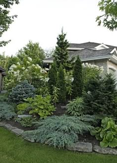 a house with lots of trees and bushes in the front yard