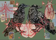 two black crows sitting next to each other on top of postcards with red writing