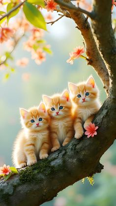 three kittens are sitting on the branch of a tree with flowers in front of them