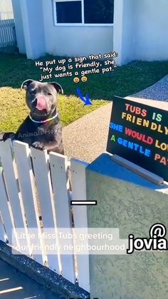 a dog sticking its tongue out over a fence with a sign on it that says, tubes is friendly and would look like a gentle park