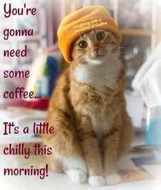 Cold Weather Funny, Good Night Qoutes, Coffee Quotes Morning