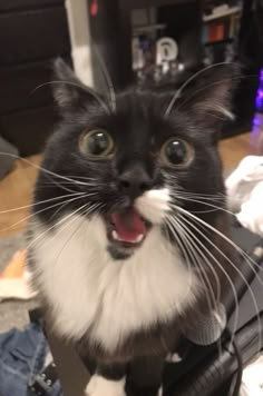 a black and white cat sitting on top of a suitcase with it's mouth open