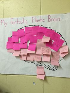 a bulletin board with post it notes on it that says my fantastic plastic brain