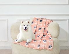 a white dog sitting on top of a couch covered in a pink cat print blanket