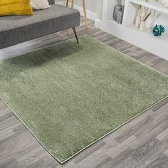 a living room with a gray couch and green rug