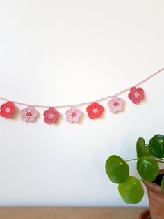 pink and red flowers are hanging from a string next to a potted green plant