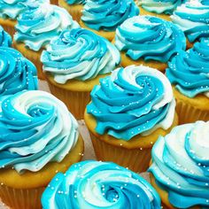 cupcakes with blue and white frosting on top