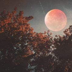 a red moon is seen through the trees