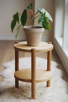 a potted plant sitting on top of a wooden stand