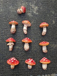 Brighten your kitchen with our Vibrant Mushroom Refrigerator Magnet! This charming and colorful magnet adds a playful touch to any fridge or magnetic surface, making it a delightful addition to your home decor. Crafted from high-quality materials, this magnet is both durable and visually striking. Its unique mushroom design is perfect for nature lovers and adds a fun element to your kitchen organization. A fantastic gift for birthdays, housewarmings, or any occasion, this vibrant magnet comes beautifully packaged, ready to surprise anyone who receives it. Bring joy to your kitchen with this whimsical accessory! Mushroom Magnets, Fall Fridge Magnets, Mushroom Fridge Magnets, Food Fridge Magnets, Ceramic Mashrom, Fruit Fridge Magnets, Fun Kitchen Decor, Whimsical Accessories, Fun Kitchen