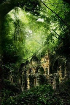 an old building in the middle of a forest