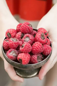 a person holding a metal bowl filled with raspberries