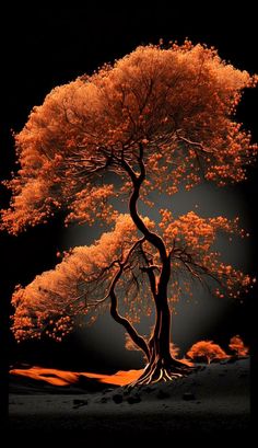 an orange tree in the middle of a dark sky with bright red leaves on it's branches