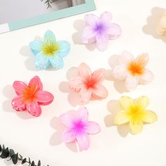 Channel tropical vibes with our Tropical Flower Claw Clips. With their bright colors and unique tropical flower shapes, these clips make every hairstyle a standout. Explore Tristar Boutique for more unique hair accessories! Hawaiian Flower Hair, Eggs Flowers, Floral Hair Clip, Hair Accessories Clips, Hawaiian Flowers, Acrylic Flowers, Flower Hair Pin, Porcelain Flowers, Manicure Y Pedicure