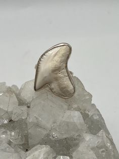 Shark Tooth Ring, Size 9 925 Sterling Silver WWW.KARINSFORGOTTENTREASURES.COM Hand Cast White Sterling Silver Jewelry, Unique White Rings With Polished Finish, Shark Tooth Ring, Tooth Ring, Shark Teeth, Rings Statement, Statement Rings, Ring Size, Jewelry Rings