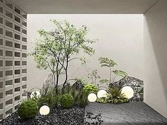 an indoor garden with plants and lights on the ground in front of a wall that looks like a tree