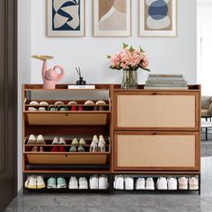 there is a shoe rack with many pairs of shoes on it in the living room