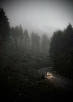 the car is driving down the road in the foggy forest with trees on both sides