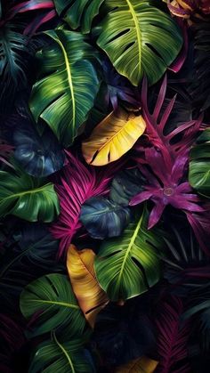 an image of colorful tropical leaves