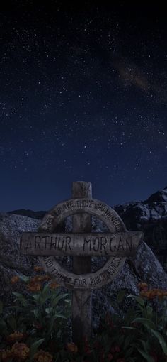 a wooden sign sitting on top of a lush green field under a sky filled with stars